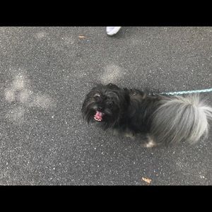 Meet your Posher, Rita